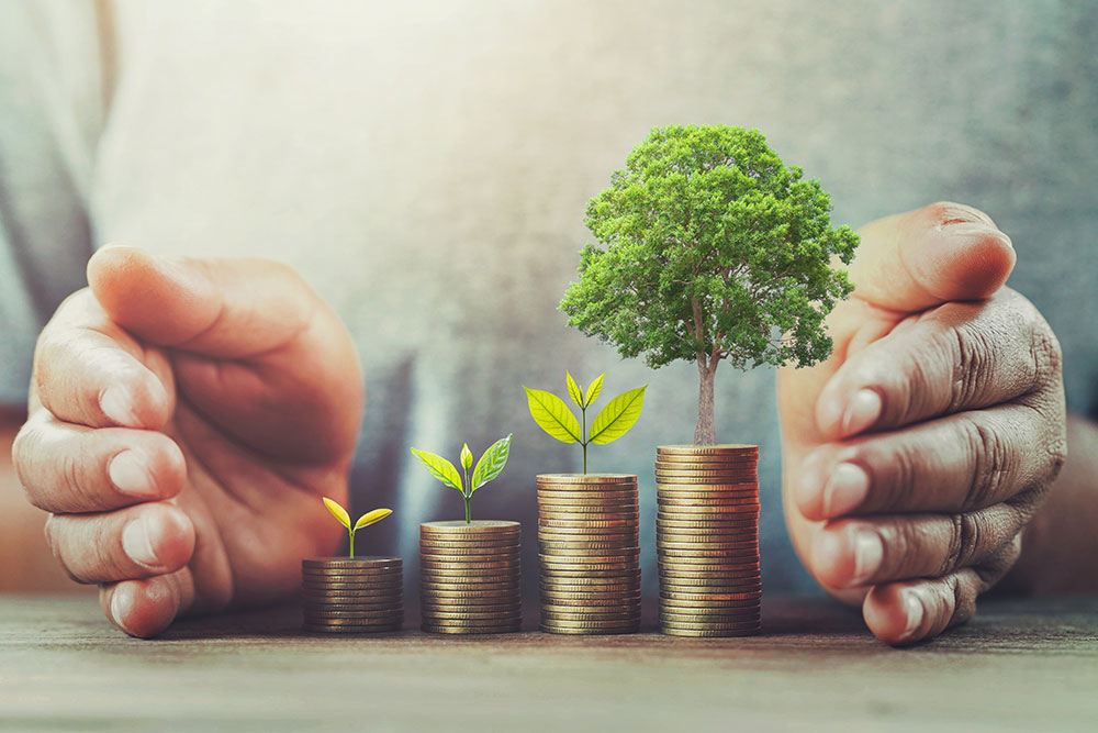 Real Estate Investors